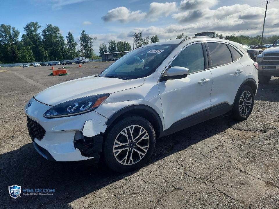 2020 FORD ESCAPE SEL – Lot 53274586 auction photo
