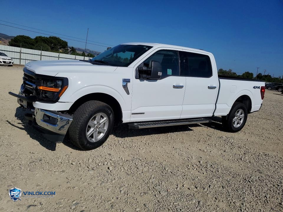 2025 FORD F150 XLT – Lot 53290056 auction photo