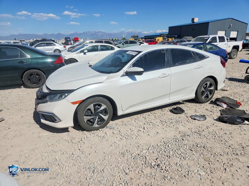 2019 HONDA CIVIC LX – Lot 53304146 auction photo