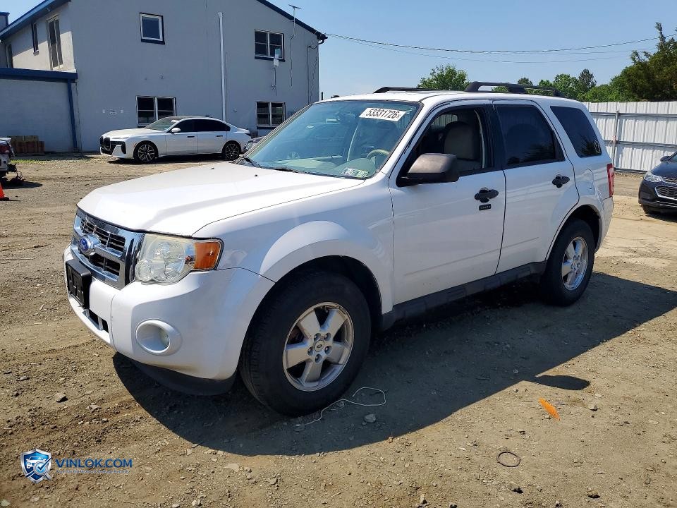 2012 FORD ESCAPE XLT – Lot 53331726 auction photo