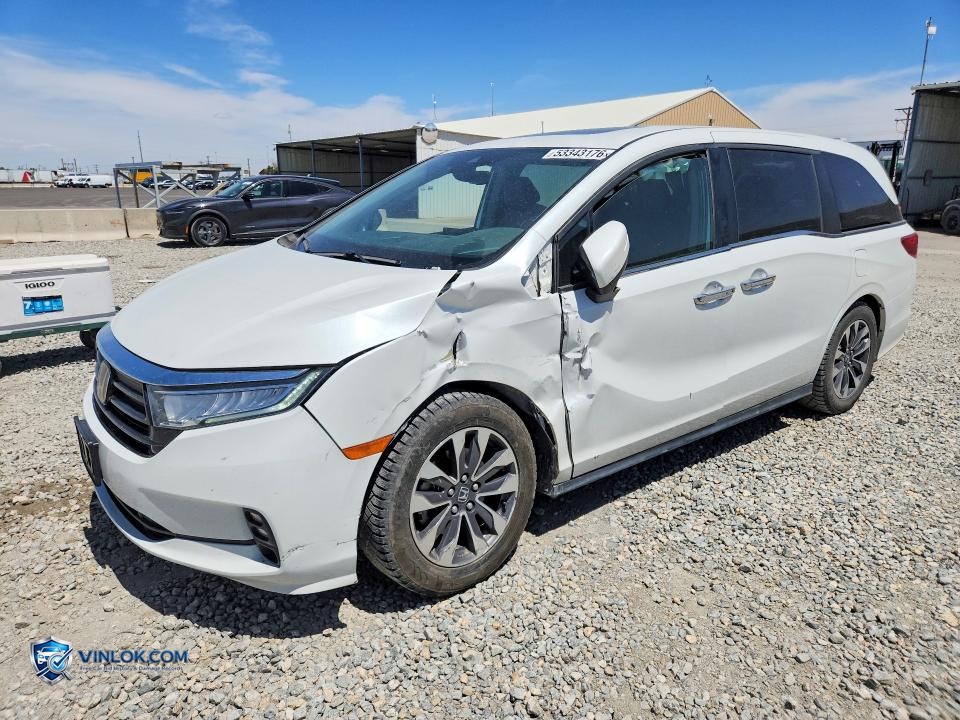 2021 HONDA ODYSSEY EXL – Lot 53343176 auction photo