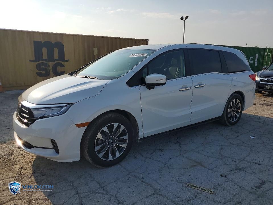 2022 HONDA ODYSSEY EXL – Lot 53345436 auction photo