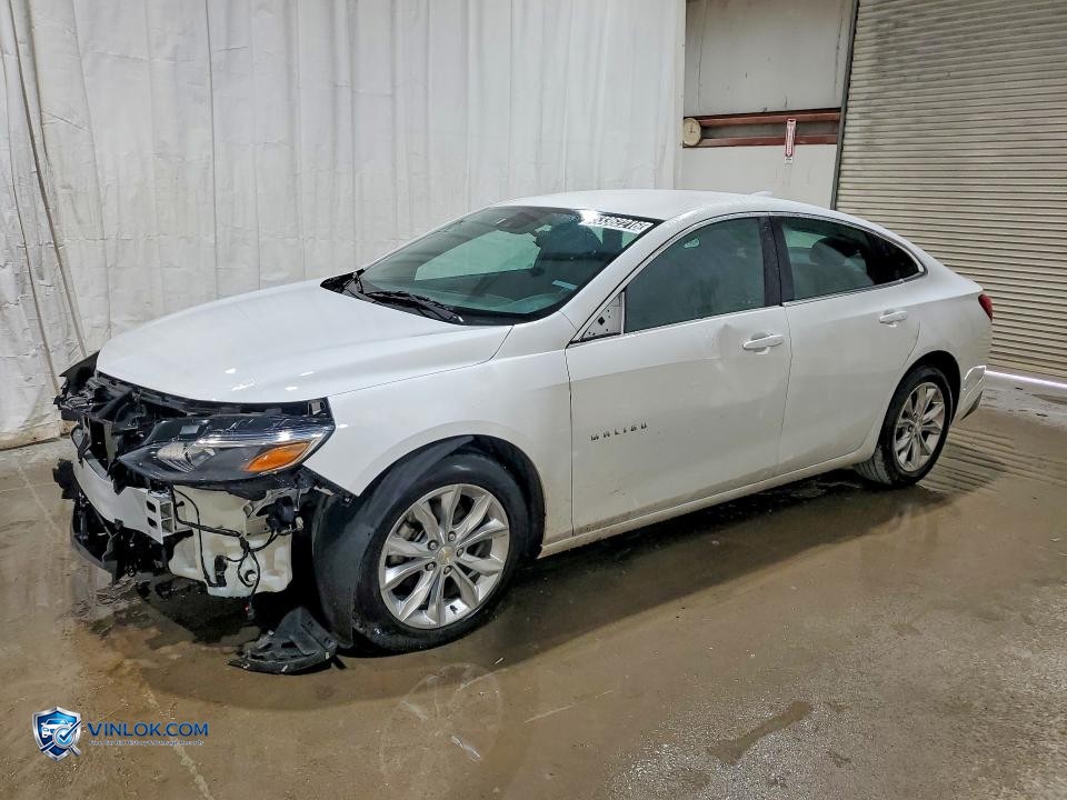 2023 CHEVROLET MALIBU LT – Lot 53362216 auction photo