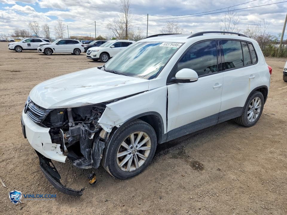 2015 VOLKSWAGEN TIGUAN S – Lot 53379496 auction photo