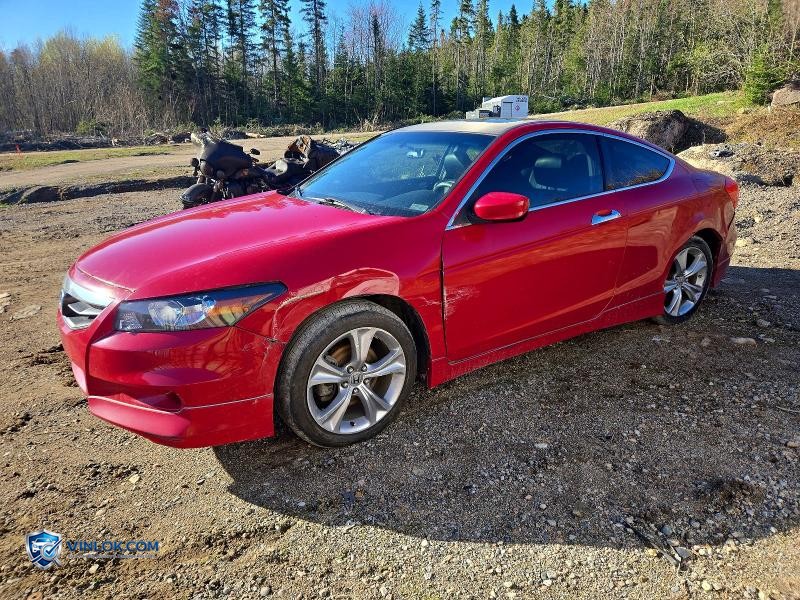 2011 HONDA ACCORD EXL – Lot 53395266 auction photo