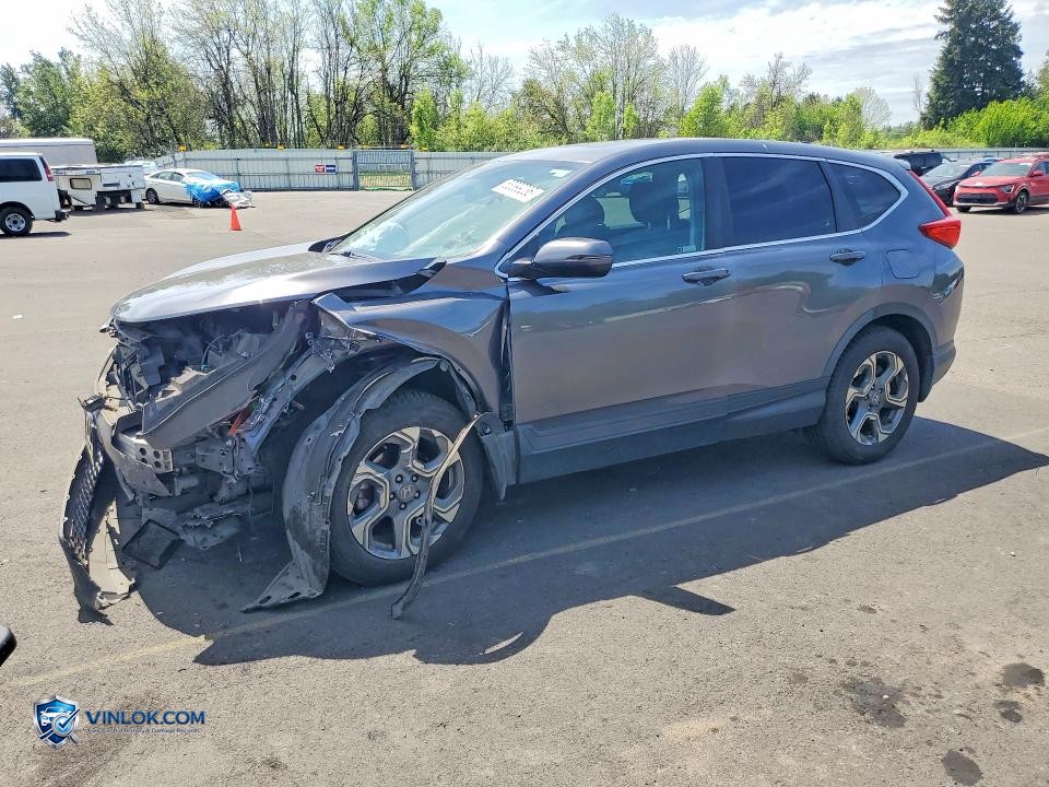 2019 HONDA CR-V EX – Lot 53399236 auction photo