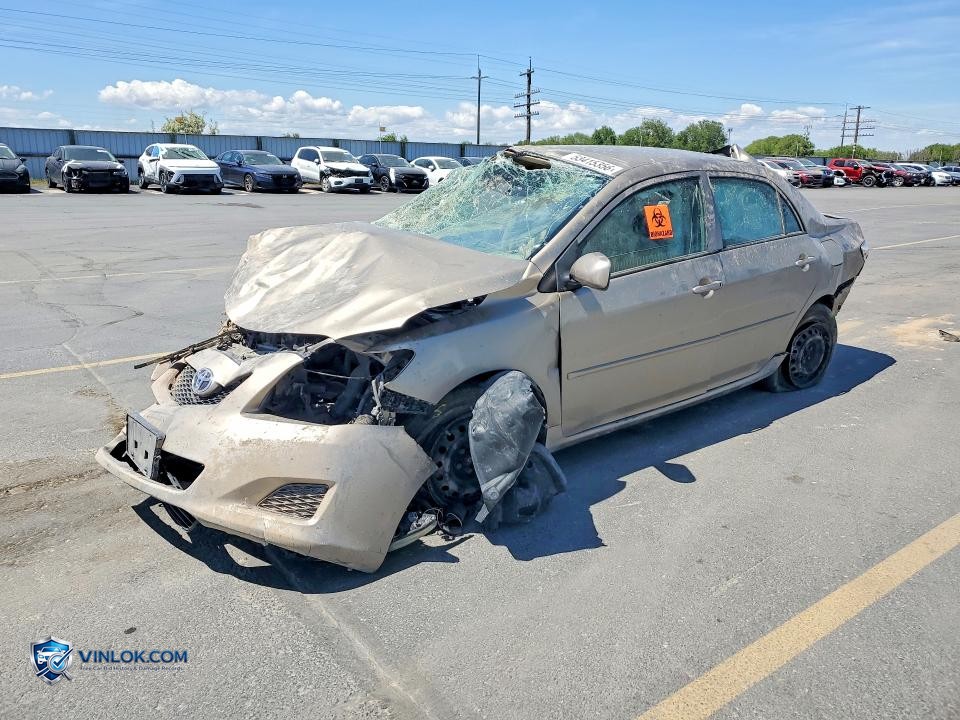 2009 TOYOTA COROLLA LE – Lot 53415356 auction photo