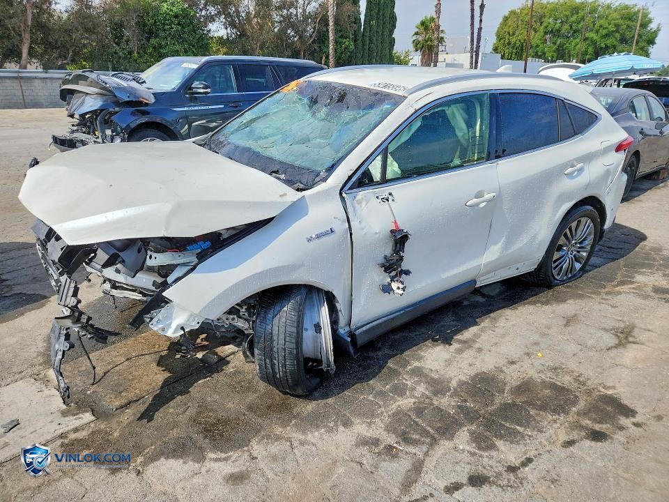 2021 TOYOTA VENZA XLE – Lot 53415596 auction photo