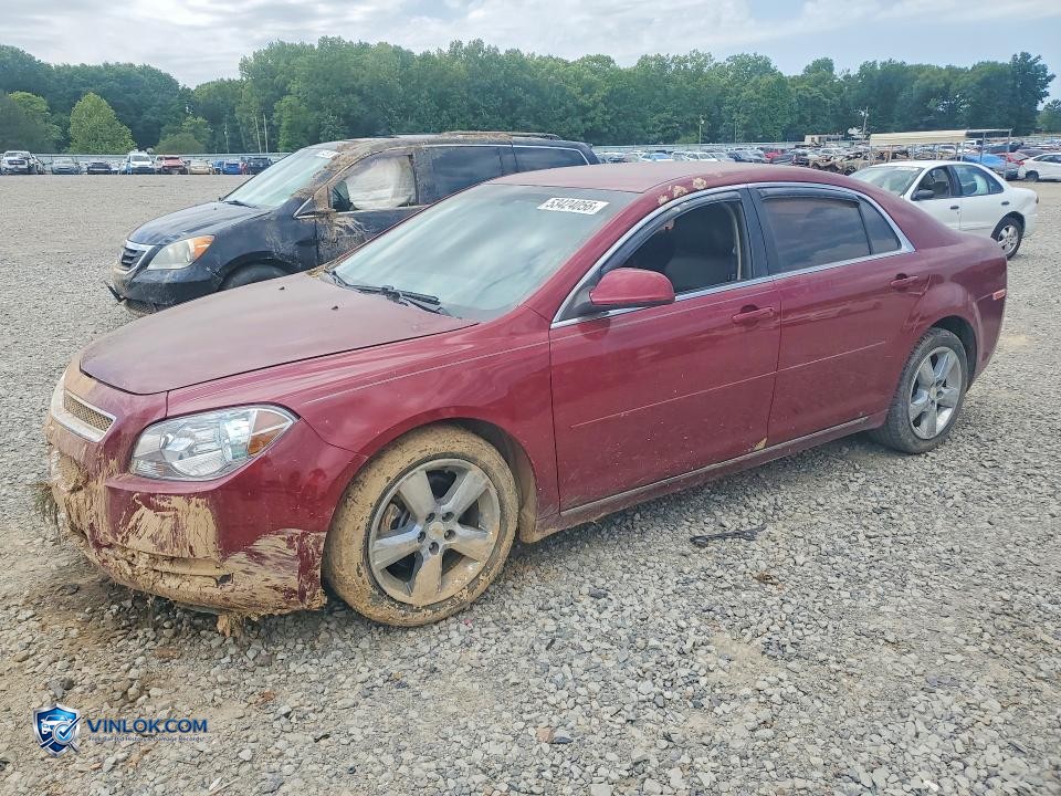 2011 CHEVROLET MALIBU 2LT – Lot 53424056 auction photo