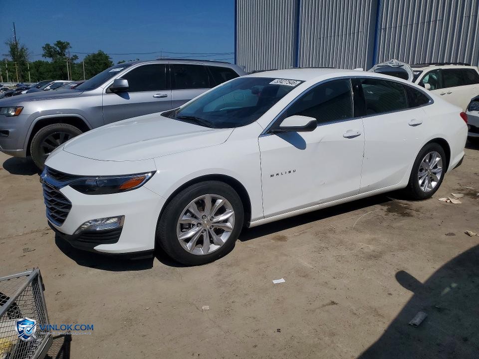 2023 CHEVROLET MALIBU LT – Lot 53427546 auction photo