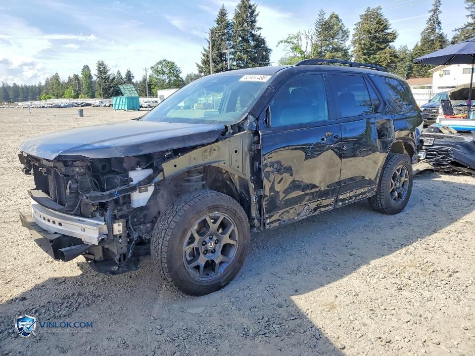 2025 HONDA PILOT TRAILSPORT – Lot 53450486 auction photo