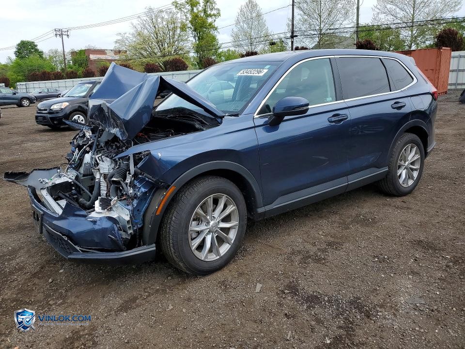 2025 HONDA CR-V EX – Lot 53452296 auction photo