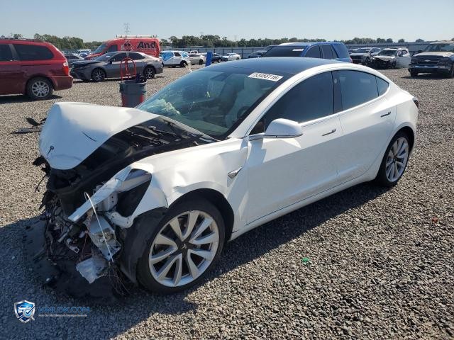 2019 TESLA MODEL 3 – Lot 53458116 auction photo