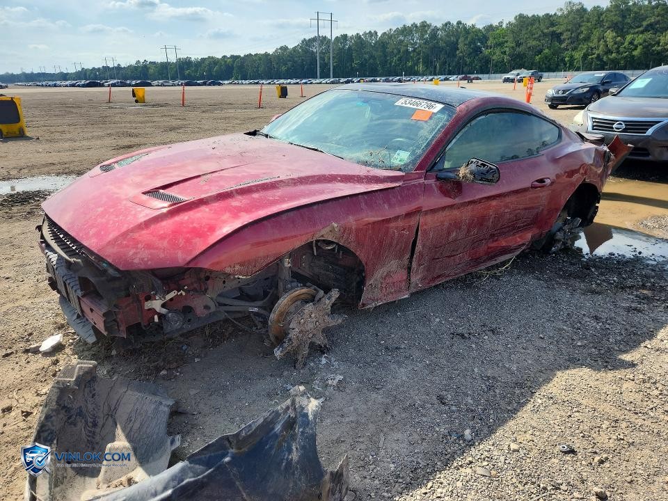 2019 FORD MUSTANG – Lot 53466796 auction photo