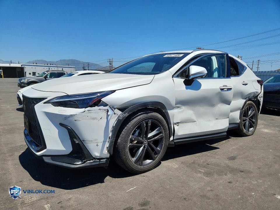 2024 LEXUS NX 450H+ BASE – Lot 53471406 auction photo