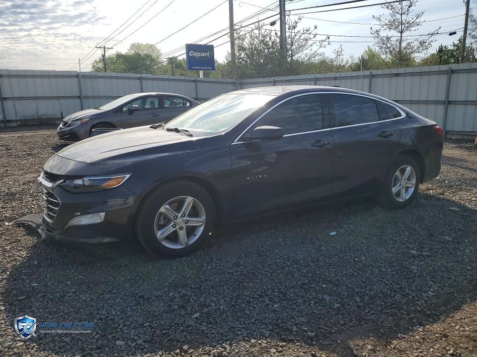2023 CHEVROLET MALIBU LT – Lot 53473326 auction photo