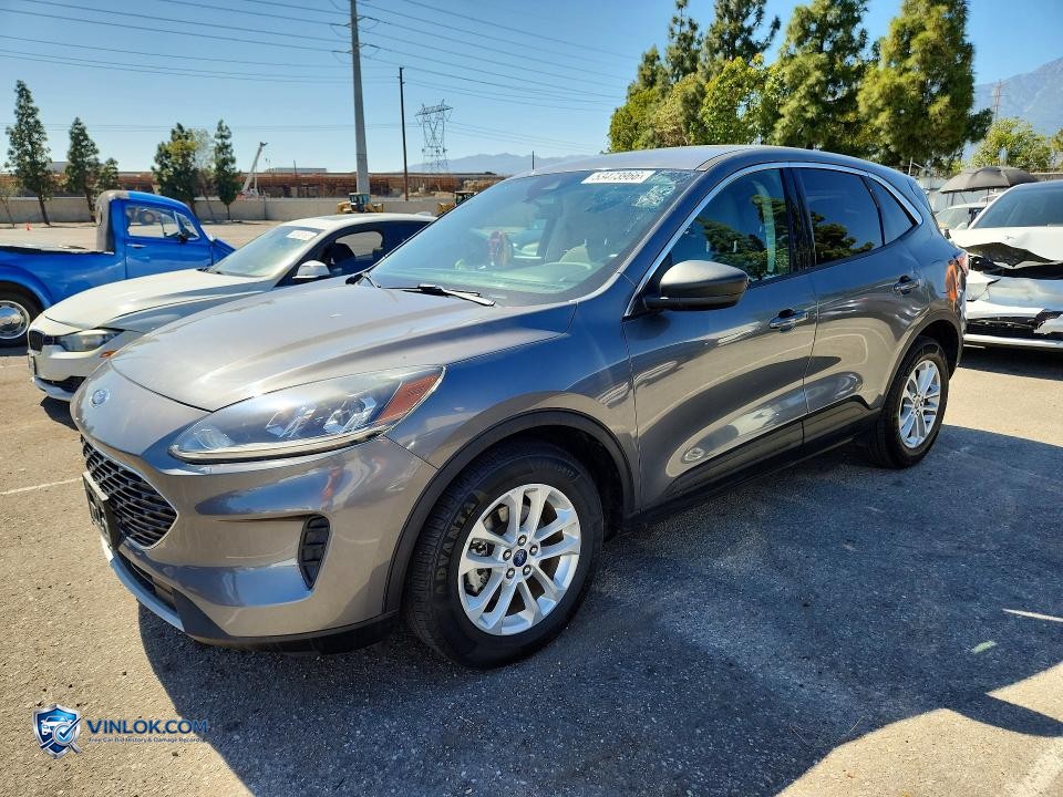 2022 FORD ESCAPE HYBRID SE – Lot 53473966 auction photo