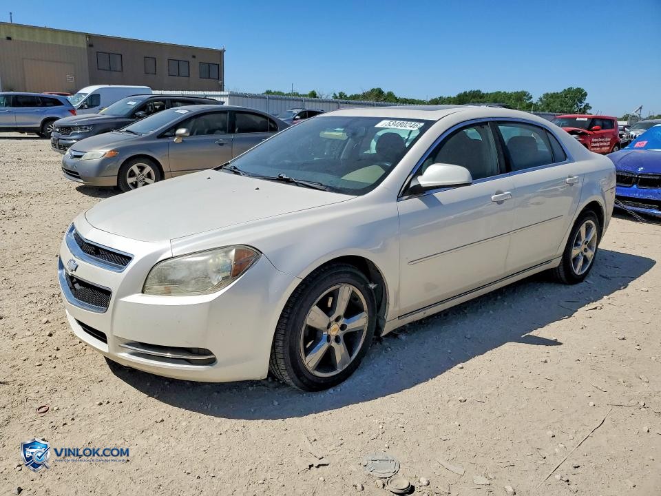 2011 CHEVROLET MALIBU 1LT – Lot 53480246 auction photo