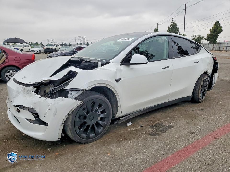 2023 TESLA MODEL Y – Lot 53544306 auction photo