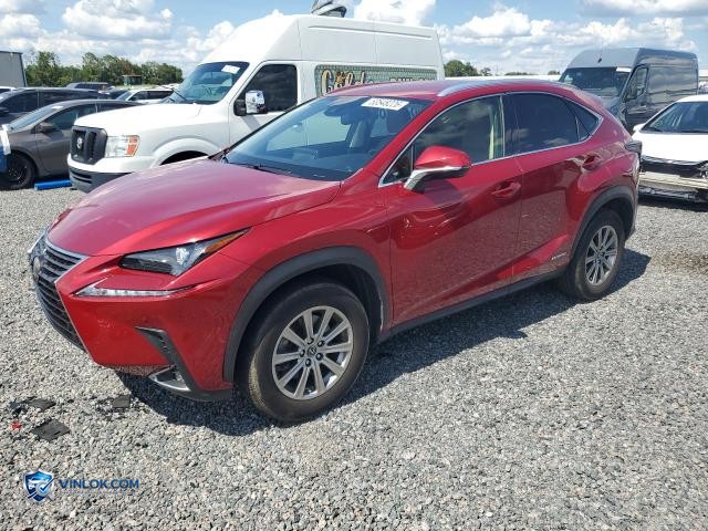 2020 LEXUS NX 300H – Lot 53548226 auction photo