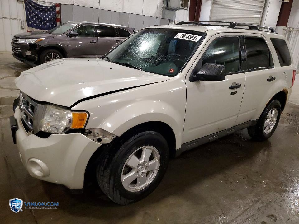 2009 FORD ESCAPE XLT – Lot 53559996 auction photo