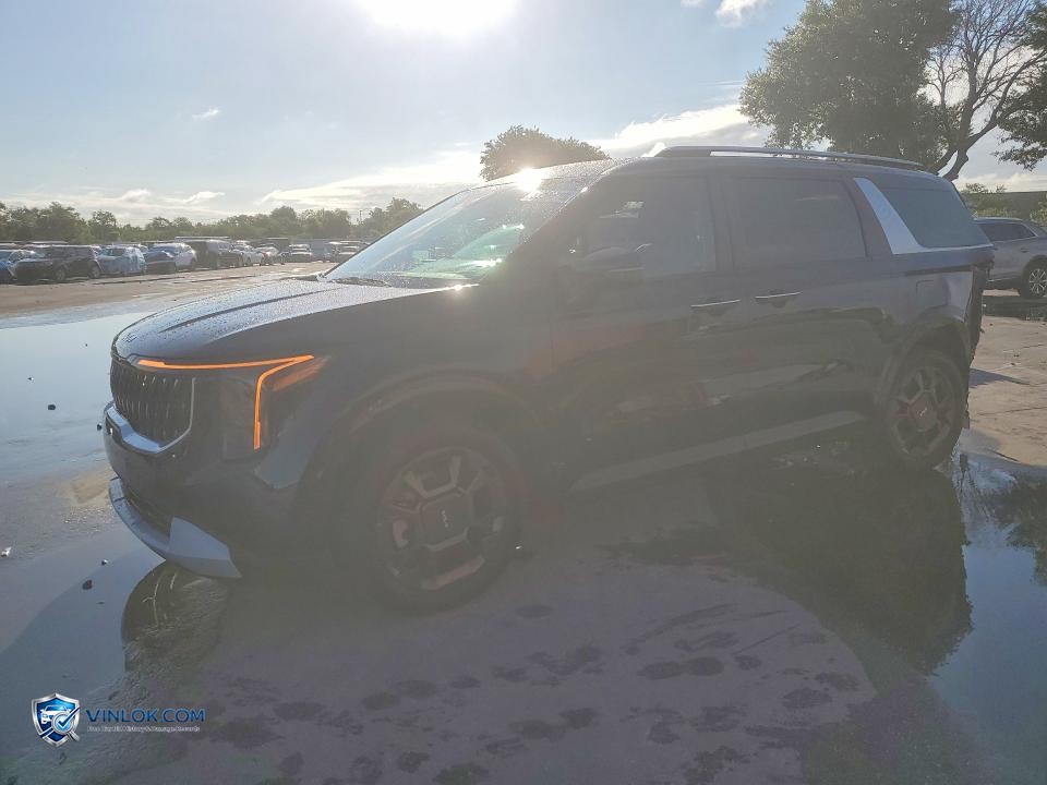 2026 KIA CARNIVAL EX – Lot 53568406 auction photo