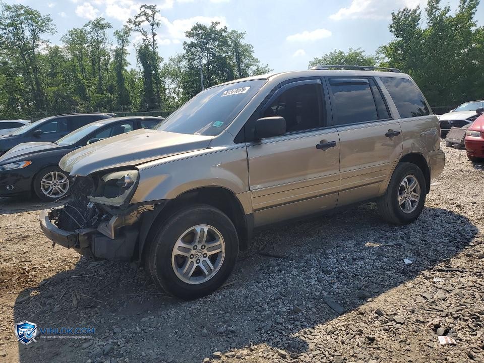 2005 HONDA PILOT EX – Lot 53574026 auction photo