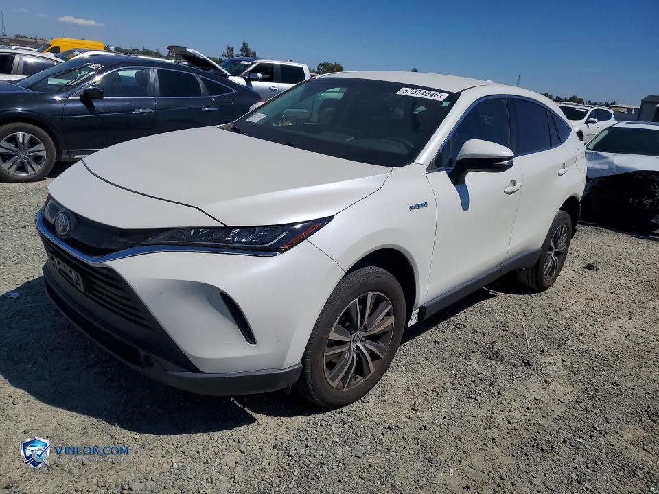 2021 TOYOTA VENZA LE – Lot 53574646 auction photo