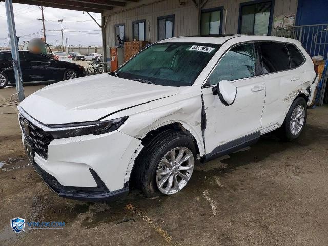 2024 HONDA CR-V EXL – Lot 53580596 auction photo