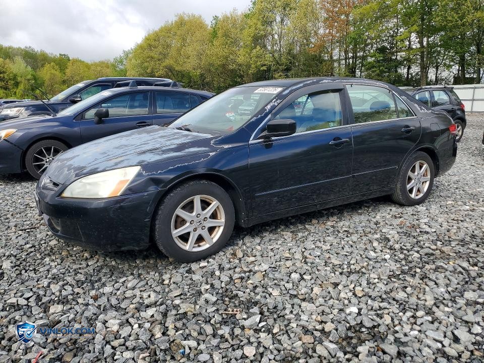 2004 HONDA ACCORD EX – Lot 53581226 auction photo
