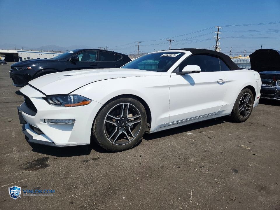 2019 FORD MUSTANG – Lot 53588026 auction photo