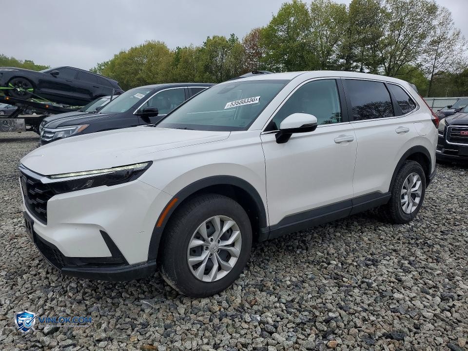 2025 HONDA CR-V LX – Lot 53588336 auction photo
