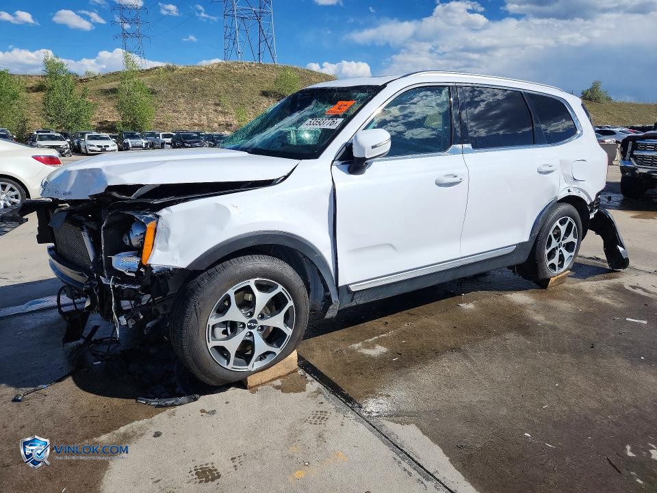 2022 KIA TELLURIDE EX – Lot 53593776 auction photo
