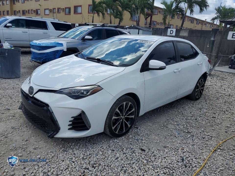 2019 TOYOTA COROLLA SE – Lot 53630526 auction photo