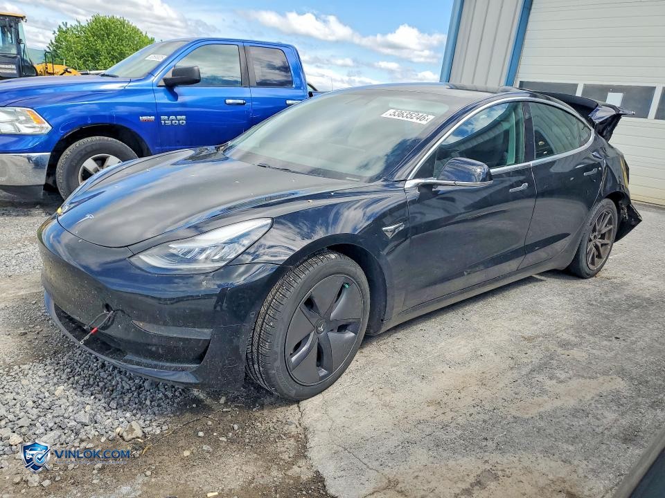 2019 TESLA MODEL 3 – Lot 53635246 auction photo