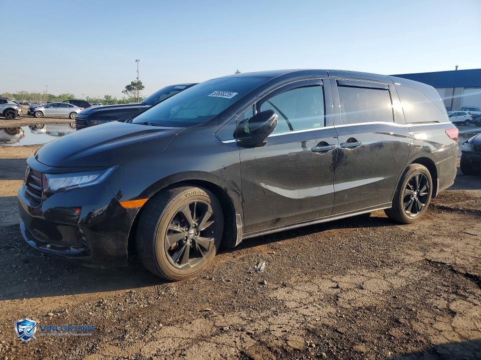2023 HONDA ODYSSEY SPORT-L – Lot 53638226 auction photo