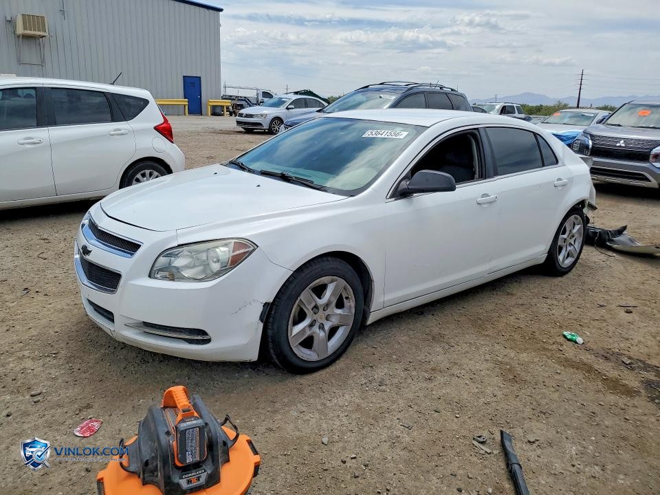 2010 CHEVROLET MALIBU LS – Lot 53641556 auction photo