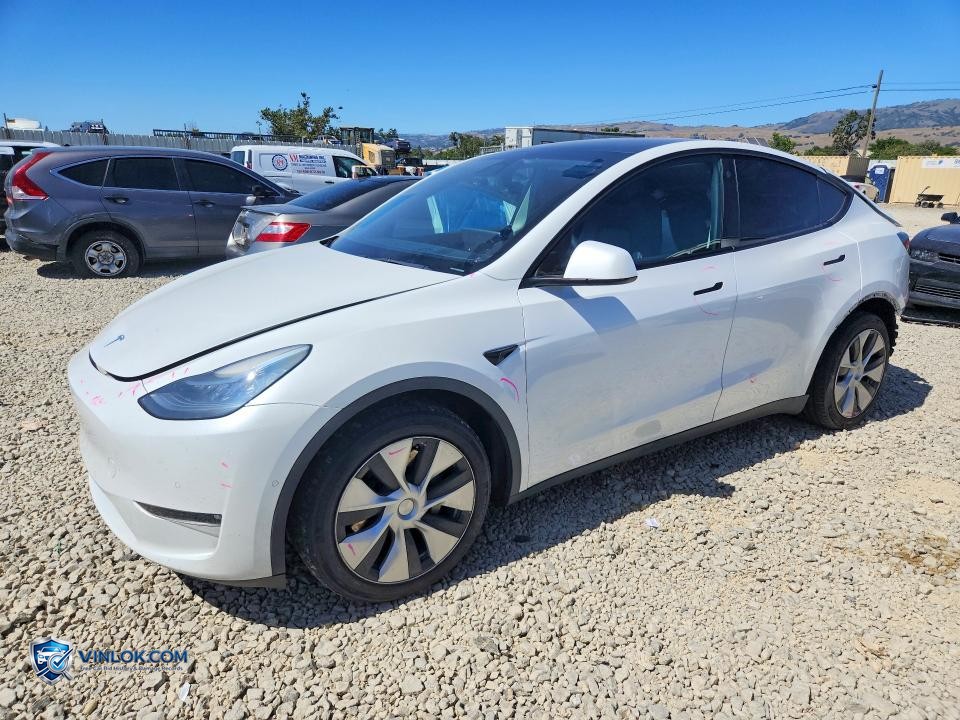 2021 TESLA MODEL Y – Lot 53653566 auction photo