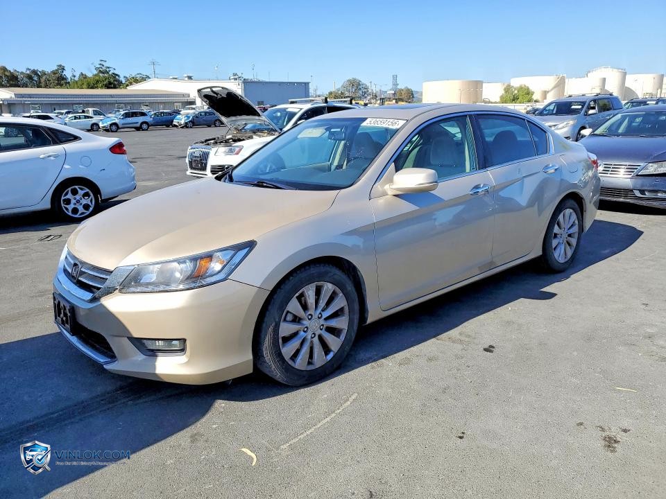 2014 HONDA ACCORD EX – Lot 53659156 auction photo