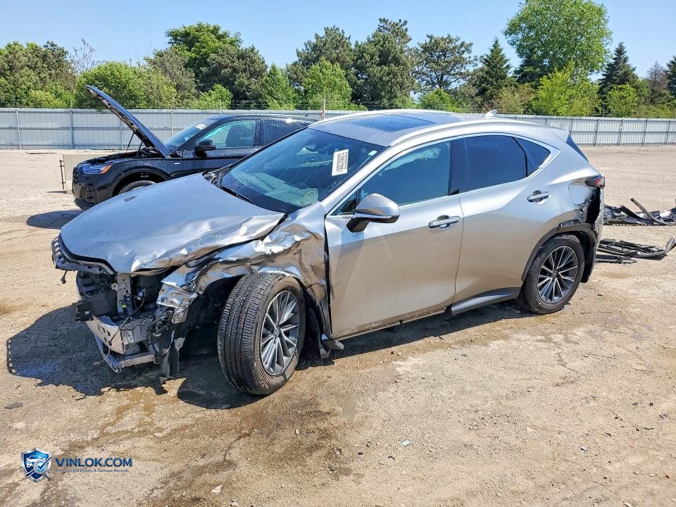 2025 LEXUS NX 350 BASE – Lot 53660566 auction photo