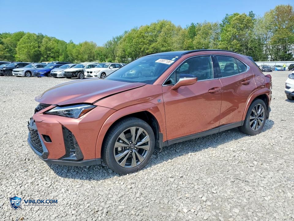 2025 LEXUS UX 300H F SPORT DESIGN – Lot 53687106 auction photo