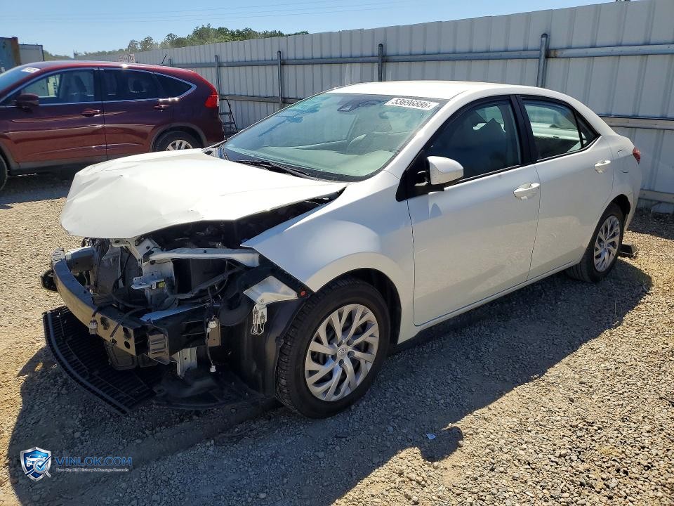 2019 TOYOTA COROLLA LE – Lot 53696886 auction photo