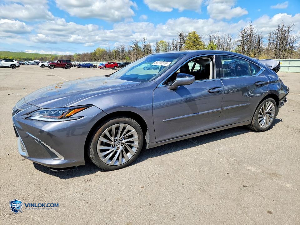 2019 LEXUS ES – Lot 53706926 auction photo