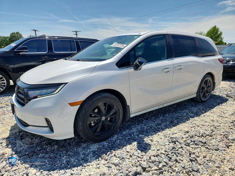 2024 HONDA ODYSSEY SPORT – Lot 53707226 auction photo