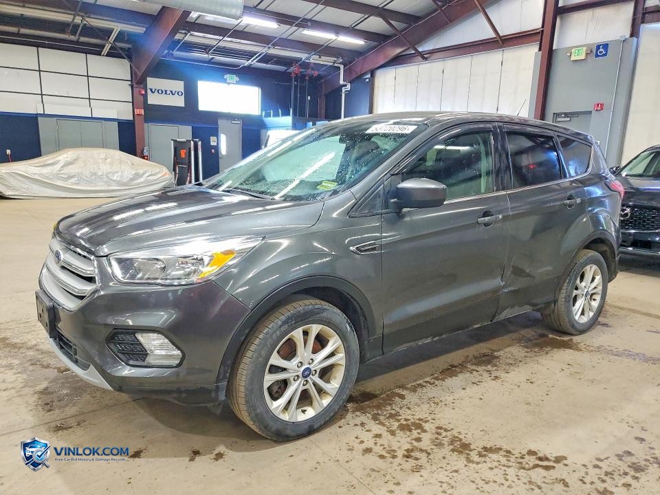 2019 FORD ESCAPE SE – Lot 53720296 auction photo