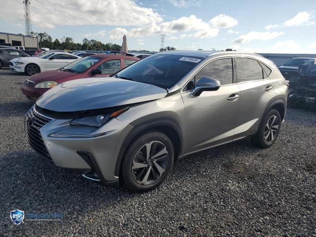 2021 LEXUS NX 300 BASE – Lot 53738436 auction photo