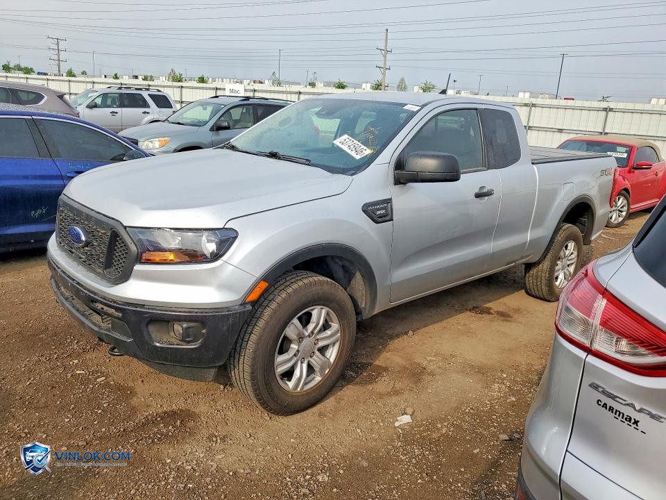 2019 FORD RANGER XL – Lot 53745946 auction photo