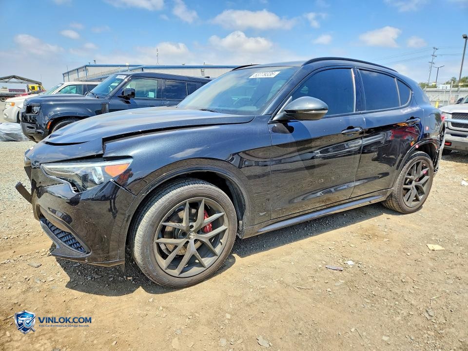 2020 ALFA ROMEO STELVIO TI – Lot 53779336 auction photo