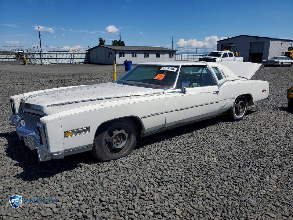 1977 CADILLAC ELDORADO – Lot 53784166 auction photo