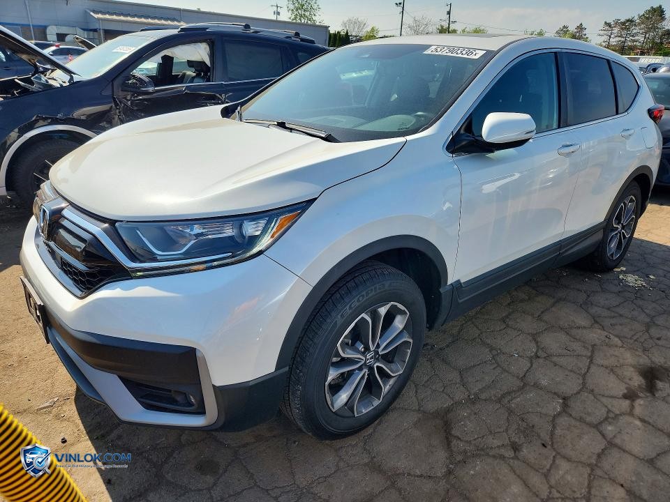 2020 HONDA CR-V EXL – Lot 53790336 auction photo